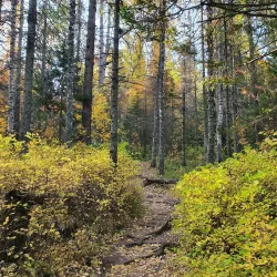 Stolby Nature Reserve - Krasnoyarsk
