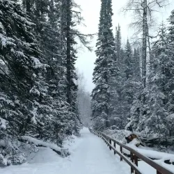 Stolby Nature Reserve - Krasnoyarsk