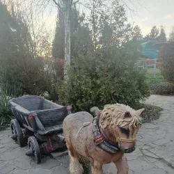 Kropotkin City Park - Kropotkin