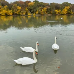 Peter Kropotkin Monument - Kropotkin
