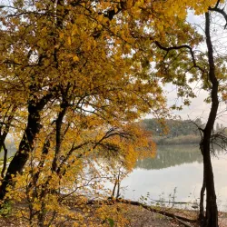 Peter Kropotkin Monument - Kropotkin