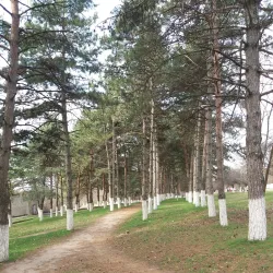 Victory Park - Kropotkin