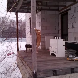 Kurgan Botanical Garden - Kurgan