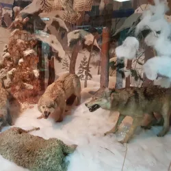 Kurgan Regional Museum of Local Lore - Kurgan