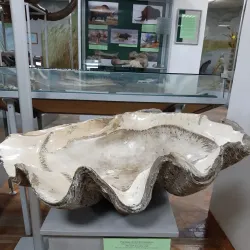 Kurgan Regional Museum of Local Lore - Kurgan