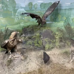 Museum of Military Glory - Kurgan