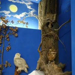 Kursk Battle Museum - Kursk