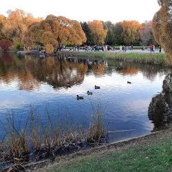 Kursk Botanical Garden - Kursk