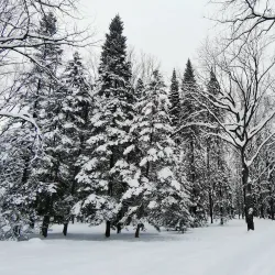 Kursk Botanical Garden - Kursk