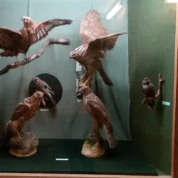 Kursk State Historical Museum - Kursk