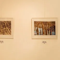 Lipetsk Art Gallery - Lipetsk