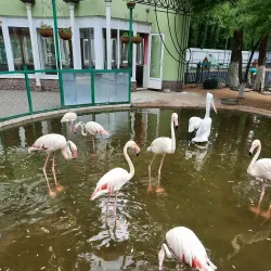 Lipetsk Botanical Garden - Lipetsk