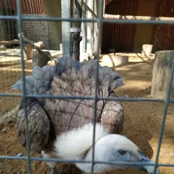 Lipetsk Botanical Garden - Lipetsk