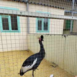 Lipetsk Zoo - Lipetsk