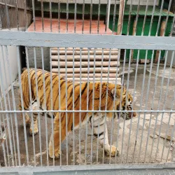 Lipetsk Zoo - Lipetsk