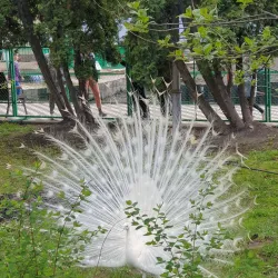 Lipetsk Zoo - Lipetsk