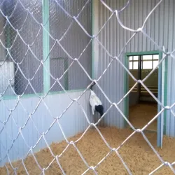 Museum of Metallurgy - Lipetsk