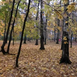 Lobnya Central Park - Lobnya