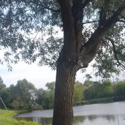 Lobnya Cultural Center - Lobnya