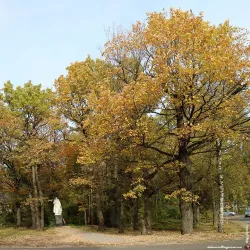 Memorial to Soldiers of the Great Patriotic War - Lobnya
