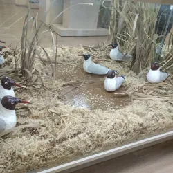 Museum of Local Lore - Lobnya