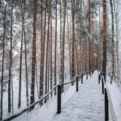 Moscow Small Ring Road Nature Reserve - Lytkarino