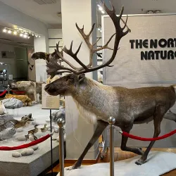 Dalstroy Museum - Magadan