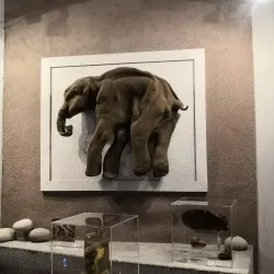 Dalstroy Museum - Magadan