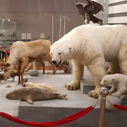 Magadan Regional Museum - Magadan