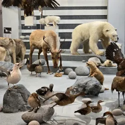 Magadan Regional Museum - Magadan