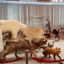 Magadan Regional Museum - Magadan