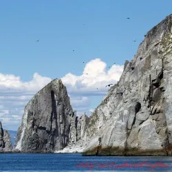 Natural History Trails - Magadan