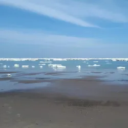 Sea of Okhotsk Coastline - Magadan