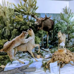 Magnitogorsk Local History Museum - Magnitogorsk