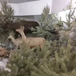 Magnitogorsk Local History Museum - Magnitogorsk