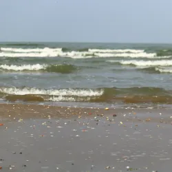 Caspian Sea Beach - Makhachkala