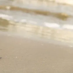 Caspian Sea Beach - Makhachkala