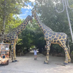 Victory Park - Makhachkala