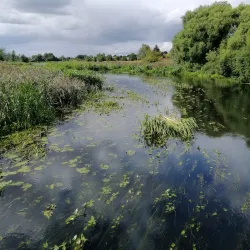 Klyazma River Embankment - Maloyaroslavets