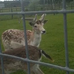 Maloyaroslavets City Square - Maloyaroslavets