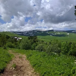 Caucasian State Nature Biosphere Reserve - Maykop