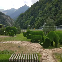 Caucasian State Nature Biosphere Reserve - Maykop