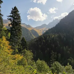 Caucasian State Nature Biosphere Reserve - Maykop