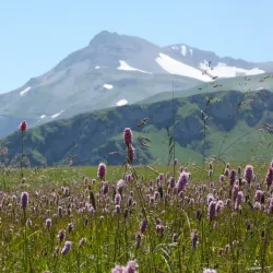Caucasian State Nature Biosphere Reserve - Maykop