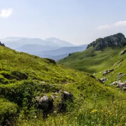 Caucasian State Nature Biosphere Reserve - Maykop