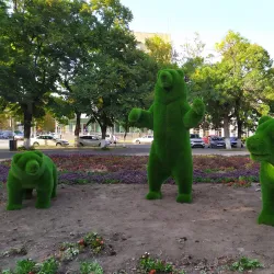 Maykop Art Gallery - Maykop