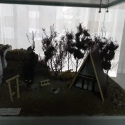 Maykop Art Gallery - Maykop