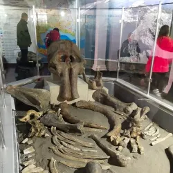 National Museum of the Republic of Adygea - Maykop