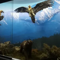 National Museum of the Republic of Adygea - Maykop