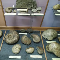 National Museum of the Republic of Adygea - Maykop